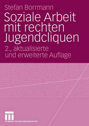 Soziale Arbeit mit rechten Jugendcliquen: Grundlagen zur Konzeptentwicklung de Stefan Borrmann