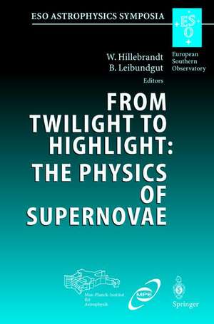 From Twilight to Highlight: The Physics of Supernovae: Proceedings of the ESO/MPA/MPE Workshop Held at Garching, Germany, 29–31 July 2002 de Wolfgang Hillebrandt