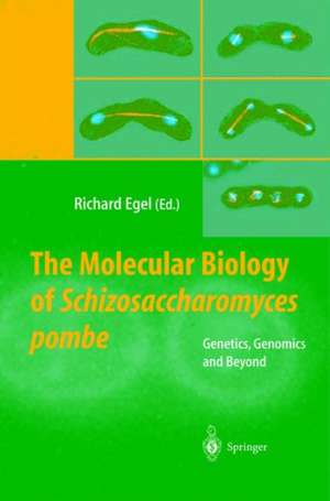 The Molecular Biology of Schizosaccharomyces pombe: Genetics, Genomics and Beyond de Richard Egel