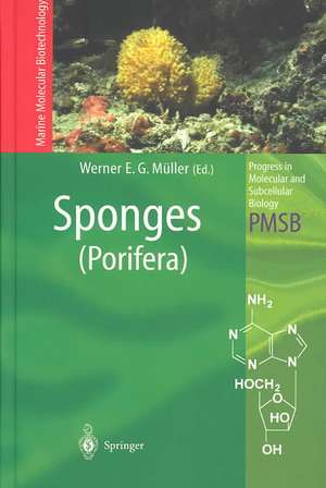 Sponges (Porifera) de Werner E.G. Müller