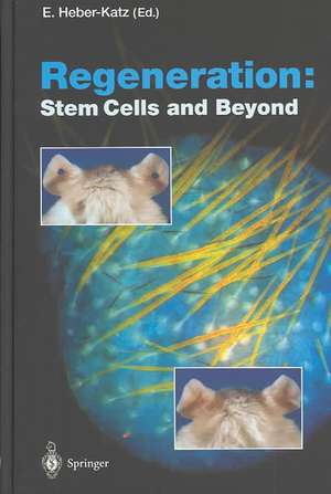 Regeneration: Stem Cells and Beyond de Ellen Heber-Katz