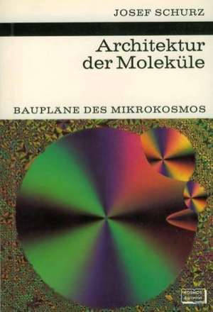 Physikalische Chemie der Hochpolymeren: Eine Einführung de J. Schurz