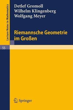 Riemannsche Geometrie im Großen de Detlef Gromoll