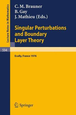 Singular Perturbations and Boundary Layer Theory: Proceedings of the Conference Held at the Ecole Centrale de Lyon, December 8-10, 1976 de C.M. Brauner