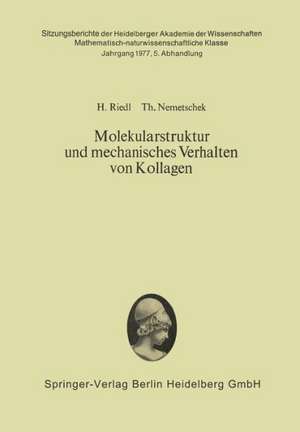 Molekularstruktur und mechanisches Verhalten von Kollagen de Hans Riedl