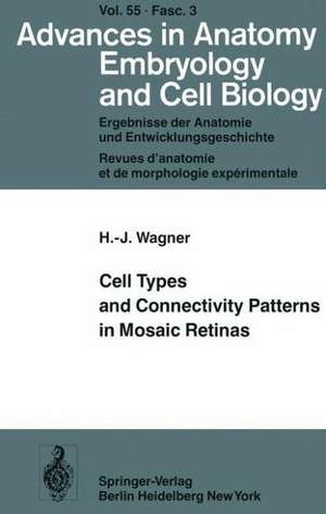 Cell Types and Connectivity Patterns in Mosaic Retinas de Hans-Joachim Wagner