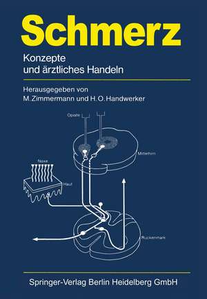 Schmerz: Konzepte und ärztliches Handeln de Manfred Zimmermann