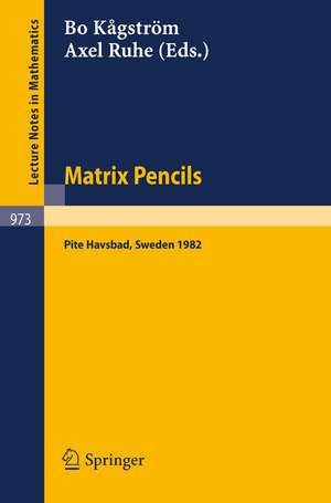 Matrix Pencils: Proceedings of a Conference Held at Pite Havsbad, Sweden, March 22-24, 1982 de B. Kagström