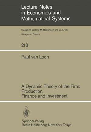 A Dynamic Theory of the Firm: Production, Finance and Investment de Paul Van Loon