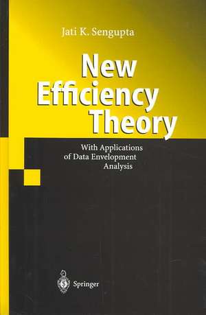 New Efficiency Theory: With Applications of Data Envelopment Analysis de Jati Sengupta