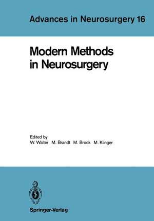 Modern Methods in Neurosurgery de Wendelin Walter