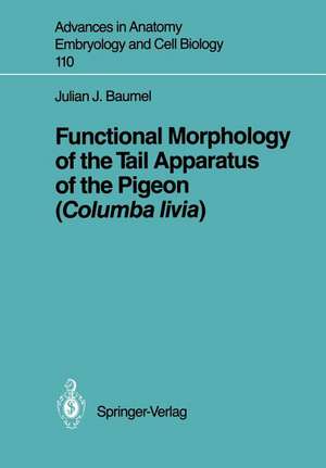 Functional Morphology of the Tail Apparatus of the Pigeon (Columba livia) de Julian J. Baumel