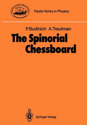 The Spinorial Chessboard de Paolo Budinich