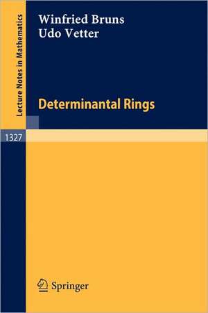 Determinantal Rings de Winfried Bruns