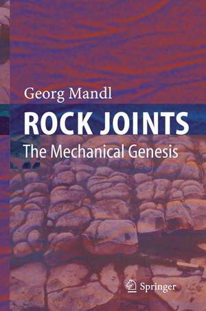 Rock Joints: The Mechanical Genesis de Georg Mandl