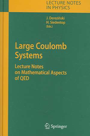 Large Coulomb Systems: Lecture Notes on Mathematical Aspects of QED de Jan Derezinski