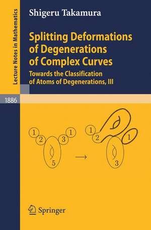 Splitting Deformations of Degenerations of Complex Curves: Towards the Classification of Atoms of Degenerations, III de Shigeru Takamura