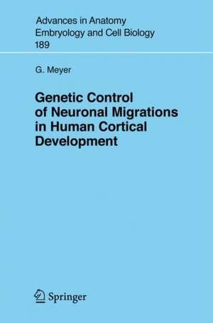 Genetic Control of Neuronal Migrations in Human Cortical Development de Gundela Meyer