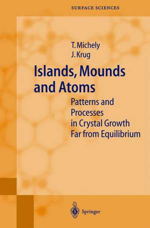 Islands, Mounds and Atoms de Thomas Michely