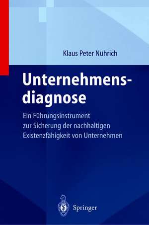 Unternehmensdiagnose: Ein Führungsinstrument zur Sicherung der nachhaltigen Existenzfähigkeit von Unternehmen de Klaus P. Nührich