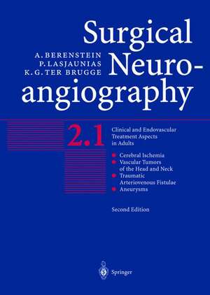 Surgical Neuroangiography: Vol.2: Clinical and Endovascular Treatment Aspects in Adults de Alejandro Berenstein