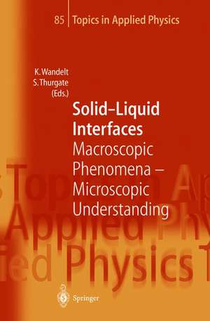 Solid-Liquid Interfaces: Macroscopic Phenomena — Microscopic Understanding de Klaus Wandelt