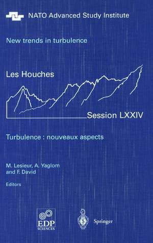 New trends in turbulence. Turbulence: nouveaux aspects: Les Houches Session LXXIV 31 July - 1 September 2000 de M. Lesieur