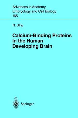 Calcium-Binding Proteins in the Human Developing Brain de N. Ulfig