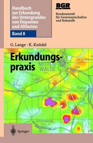 Handbuch zur Erkundung des Untergrundes von Deponien und Altlasten: Band 8: Erkundungspraxis de Gerhard Lange