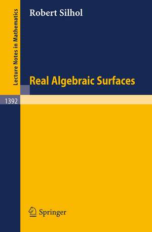 Real Algebraic Surfaces de Robert Silhol