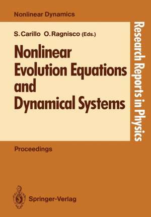 Nonlinear Evolution Equations and Dynamical Systems de Sandra Carillo