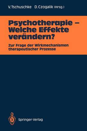 Psychotherapie — Welche Effekte verändern?: Zur Frage der Wirkmechanismen therapeutischer Prozesse de Volker Tschuschke