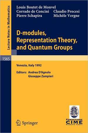 D-modules, Representation Theory, and Quantum Groups: Lectures given at the 2nd Session of the Centro Internazionale Matematico Estivo (C.I.M.E.) held in Venezia, Italy, June 12-20, 1992 de Louis Boutet de Monvel