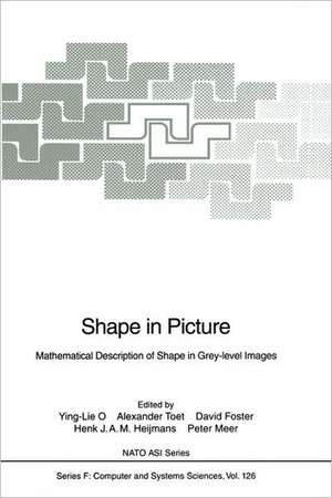 Shape in Picture: Mathematical Description of Shape in Grey-level Images de Ying-Lie O