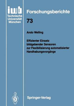 Effizienter Einsatz bildgebender Sensoren zur Flexibilisierung automatisierter Handhabungsvorgänge de Ando Welling