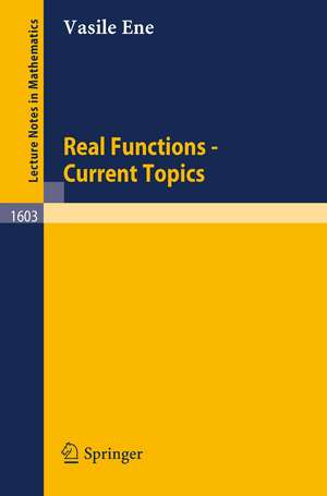 Real Functions - Current Topics de Vasile Ene