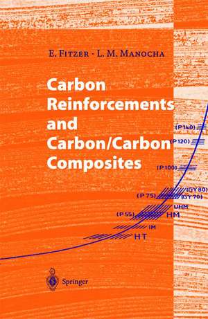 Carbon Reinforcements and Carbon/Carbon Composites de Erich Fitzer