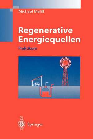 Regenerative Energiequellen: Praktikum de Michael Meliß