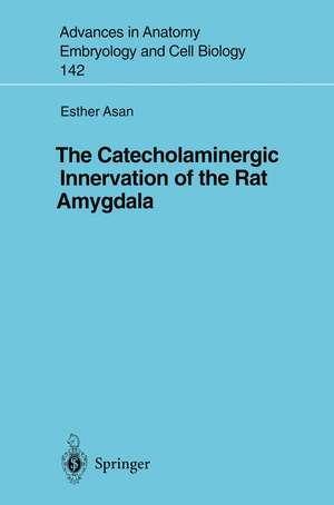 The Catecholaminergic Innervation of the Rat Amygdala de Esther Asan