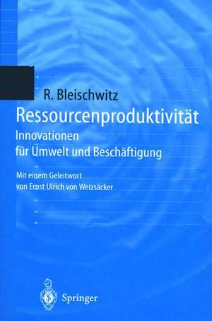 Ressourcenproduktivität: Innovationen für Umwelt und Beschäftigung de Raimund Bleischwitz