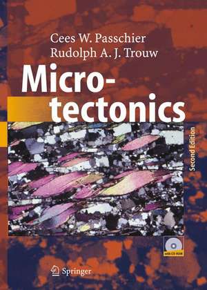 Microtectonics de Cees W. Passchier
