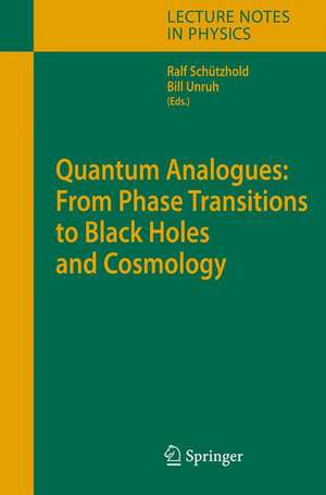 Quantum Analogues: From Phase Transitions to Black Holes and Cosmology de William Unruh