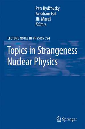 Topics in Strangeness Nuclear Physics de Petr Bydzovsky