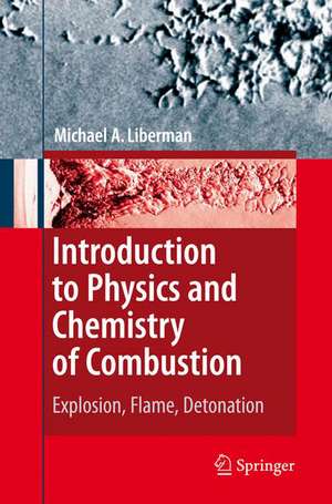 Introduction to Physics and Chemistry of Combustion: Explosion, Flame, Detonation de Michael A. Liberman