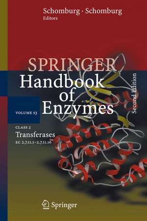 Class 2 Transferases: EC 2.7.11.1-2.7.11.16 de Antje Chang