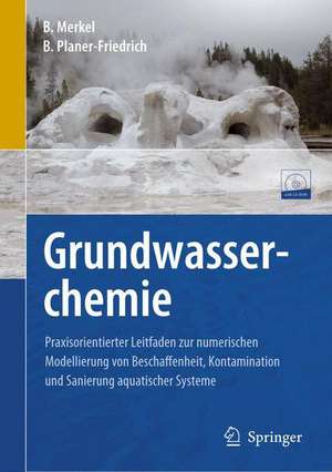 Grundwasserchemie: Praxisorientierter Leitfaden zur numerischen Modellierung von Beschaffenheit, Kontamination und Sanierung aquatischer Systeme de Broder J. Merkel