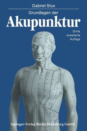 Grundlagen der Akupunktur: Chinesische Übersetzungen von Karl Alfried Sahm Zeichnungen von Petra Kofen de Gabriel Stux