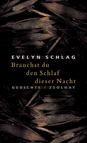 Brauchst du den Schlaf dieser Nacht de Evelyn Schlag