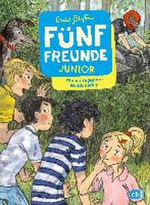 Fünf Freunde JUNIOR - Ein aufregender Waldausflug de Enid Blyton