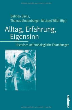 Alltag, Erfahrung, Eigensinn de Belinda Davis